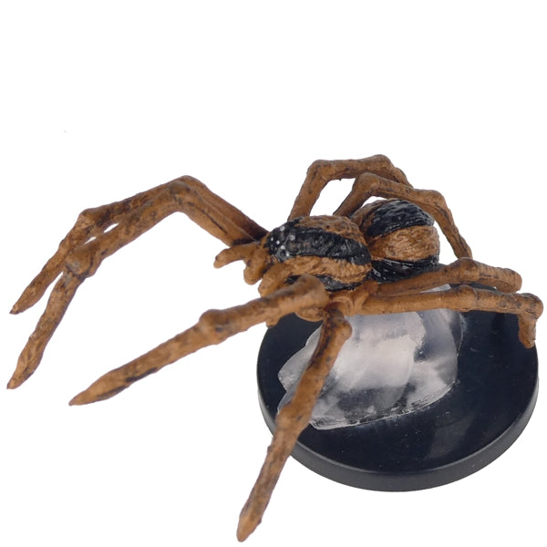 D&D - #08 Giant Wolf Spider - Fangs & Talons