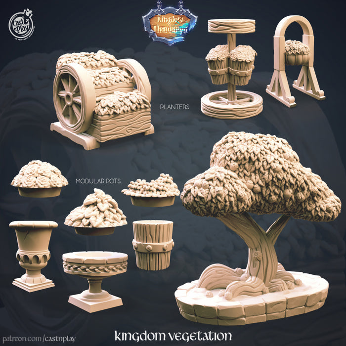 Kingdom Vegetation